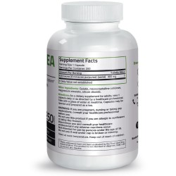Echinacea