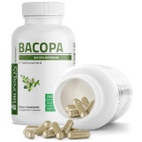 Bacopa monnieri – suport pentru memorie si concentrare