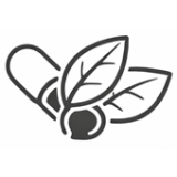 Suplimente din plante